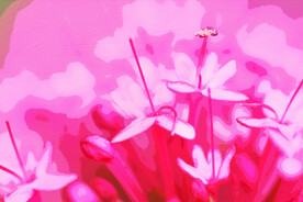 客厅装饰油画红色花蕊