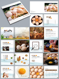 土鸡蛋促销宣传画册