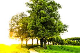 6090厘米装饰油画素材可印刷