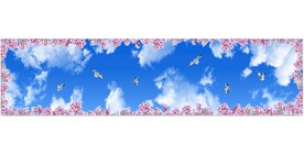 蓝天白云鸽子鲜花