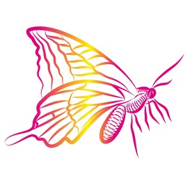 蝴蝶矢量手绘插画