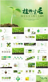 春种苗生长发芽ppt模板