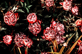 6090厘米装饰油画素材可印刷