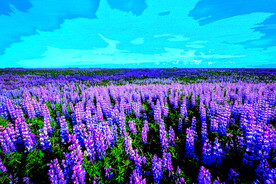 6090厘米装饰油画素材可印刷