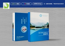 蓝色公司封面