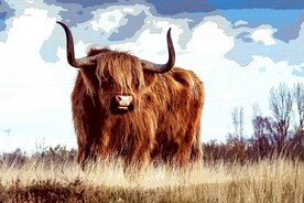 6090厘米装饰油画素材可印刷