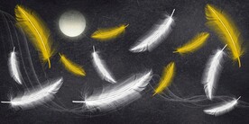 轻奢羽毛意境图