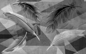 羽毛现代无框新画 文件分层 