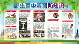 野生菌预防知识图片