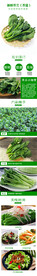 新鲜芥兰蔬菜详情设计页面