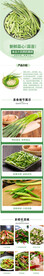 蒜薹 蒜苔 详情页面设计