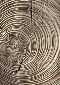 装饰画 晶瓷画 新中式