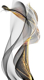 装饰画 晶瓷画 新中式