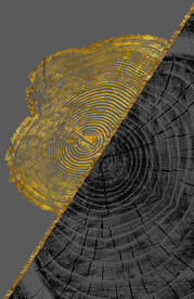 装饰画 晶瓷画 新中式