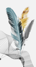 装饰画 晶瓷画 羽毛