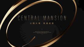 黑金活动背景 黑金发布会