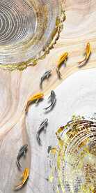 装饰画 晶瓷画 新中式