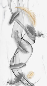 装饰画 晶瓷画 羽毛