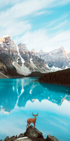 装饰画 晶瓷画 新中式