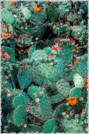 60X90厨房装饰油画可印刷