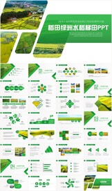 水稻农田绿洲大米PPT模板农业