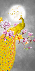 装饰画 晶瓷画 孔雀