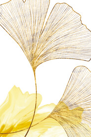 三联画 晶瓷画 线条