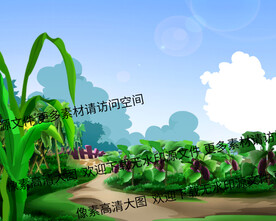 菜园 玉米 茄子