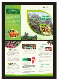 荔枝龙眼健康膳食科普