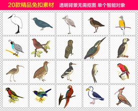 鸟免抠素材