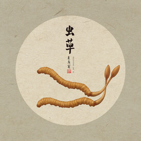 手绘植物食材