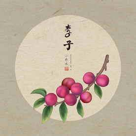 手绘李子