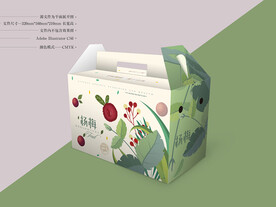 杨梅包装 平面图