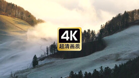 短视频素材森林深处的浓雾峡谷