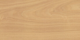 黄色高清木纹大图 TIF合层