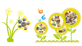 幼儿园 水仙花 向日葵
