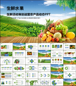 生鲜活动策划运营PPT