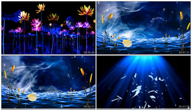 小鸭子的梦 舞蹈舞美背景视频