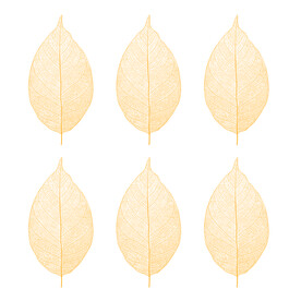 装饰画 晶瓷画 叶子