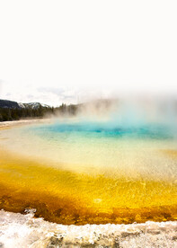 装饰画 晶瓷画 抽象图