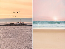 装饰画 晶瓷画 海边 鸟