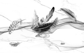 羽毛灰色背景墙TIF文件分层