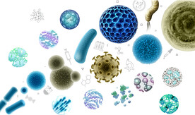 细菌病毒医疗DNA