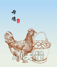 母鸡