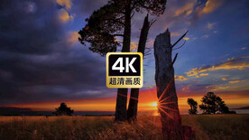 唯美视频素材草原晚霞日落美景