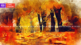 唯美秋季满地落叶