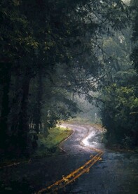 5070数字油画装饰画林间小道