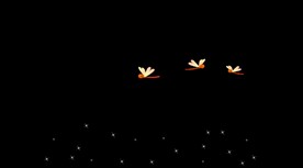 喜庆婚礼唯美片头