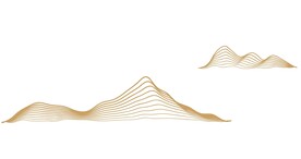 金山插画手绘线描图案矢量设计创