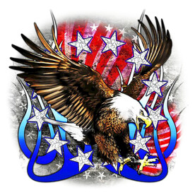 南北旗 美国国旗 美旗 鹰 做